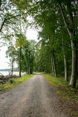 Rural cycle path through the forests and landscapes of southern Denmark