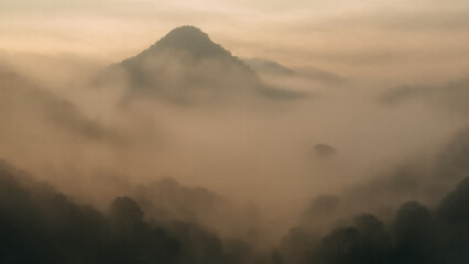 A mesmerizing view of a misty mountain landscape, a sense of serenity and mystery. Capture the tranquility of nature.
