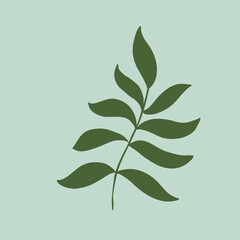 Minimalist illustration of a green fern frond on a pale blue background
