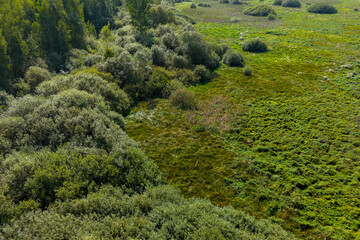 Partly abandoned meadows in autumn