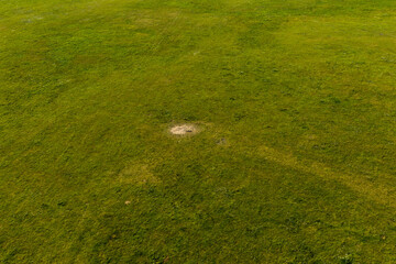 Partly abandoned meadows in autumn
