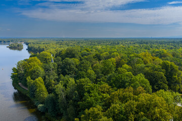 Drone view of forest near Paprocanskie Lake