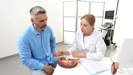 Urology and treatment of kidney disease. Doctor analyzing of patient kidneys health using kidney anatomical model during doctor consultation