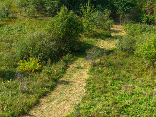 Partly abandoned meadows in autumn