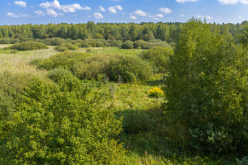 Partly abandoned meadows in autumn