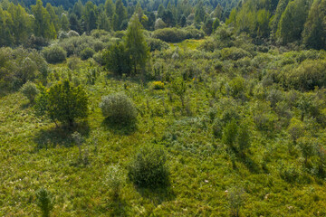 Partly abandoned meadows in autumn