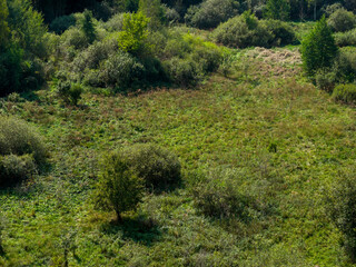 Partly abandoned meadows in autumn
