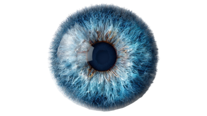 3d human eye retina isolated on white background