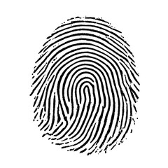 Detailed fingerprint impression for authentication