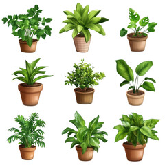Obraz premium AI Image Decorative green plants in terracotta pots arranged on a dark background creates a