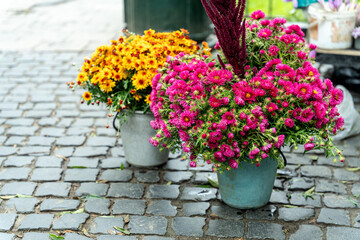 Colorful autumn flowers in metal buckets on a cobblestone street