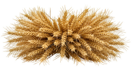 Golden Wheat Stalks Arranged on a Warm Brown Background