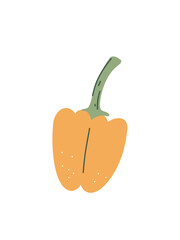 vector illustration organic yellow bell pepper
