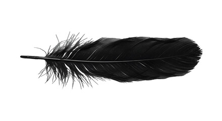 Elegant Single Black Feather with Soft Texture on Dark Background