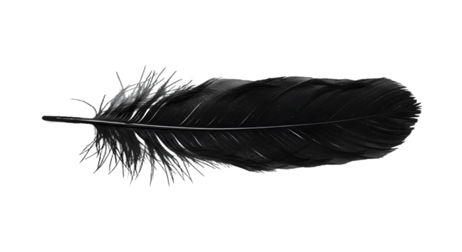 Elegant Single Black Feather with Soft Texture on Dark Background