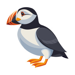  Puffin isolated on white background. Fauna. Ornithology Illustration.