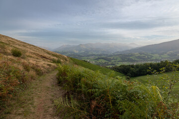 Vignoble pays Basque (Irouléguy)