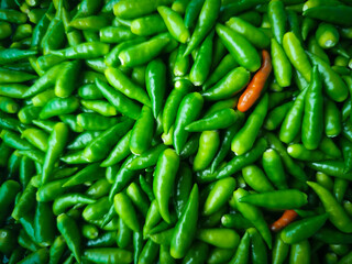 A single orange-red chili pepper stands out prominently amidst a dense, full-frame pile of vibrant green chili peppers.