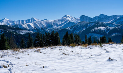 Panorama of mountain ridges in the first autumn snow.