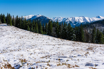 The first snow in the mountains and immediately a fairy-tale landscape appeared.