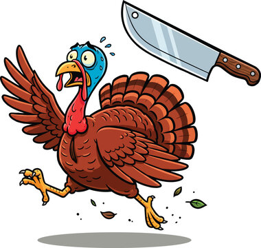 Thanksgiving Day Scared Wild Turkey Running From Butcher Knife