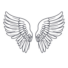 Obraz premium Elegant Wing Illustration Detailed Feathered Angel Wings for Design Projects