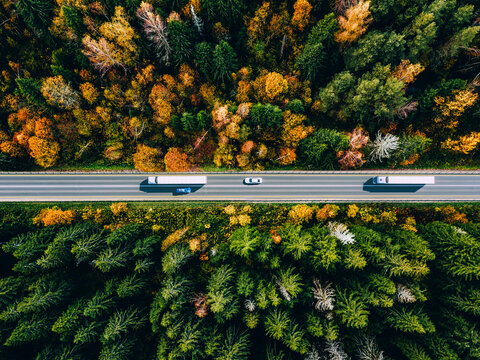 Aerial drone view of asphalt road with cars and cargo trucks and colorful fall autumn forest in rural Finland. Logistic and delivery concept. - Powered by Adobe