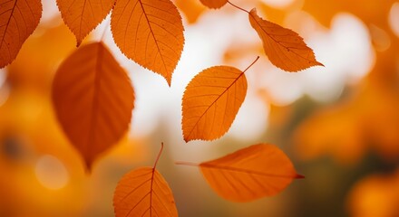 Naklejka premium Stunning autumn leaves creating a vibrant orange background effect