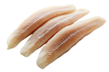 Fresh raw fish fillets isolated on white background for culinary recipes and food preparation