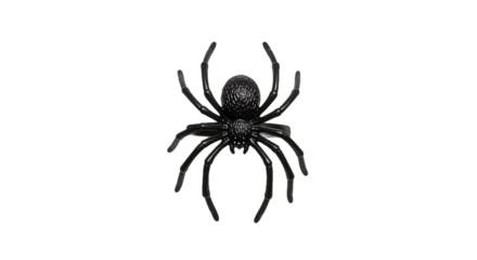 Single Black Spider on a Dark Reflective Surface, an Ominous Halloween Decoration