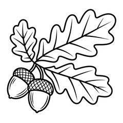 Oak Branch with Acorns Illustration, Botanical Drawing, Nature, Forest, Tree, Line Art, Nature Scene, Plant, Forest Floor, Natural