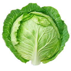 Obraz premium Fresh green cabbage isolated, organic healthy food
