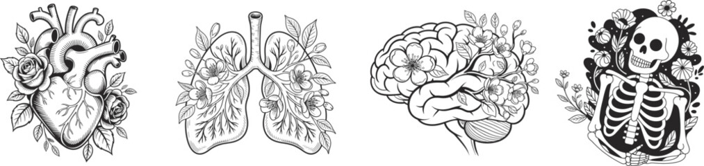 Human organs with floral, vector illustration.