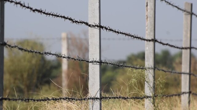 A large fence with rows of barbed wire in a field, Concrete pole with wire fencing around rice field for protection Barbed wire fence with burred image of field
