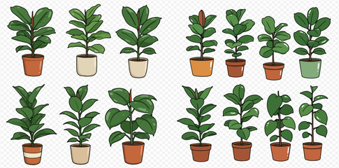 A collection of potted plants, each with unique leaf shapes and pot designs, arranged in two rows.