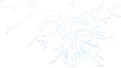 Detailed fractal tree branch design isolated on transparent background, showcasing a complex and intricate pattern for creative and artistic projects