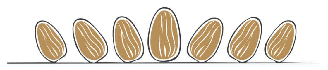Obraz premium Artistic stylized almond illustrations in a row on a line