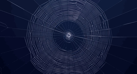 Obraz premium Intricate Cosmic Web of Stars and Galaxies Forming a Vast Interstellar Network of Unknown Origin and Purpose