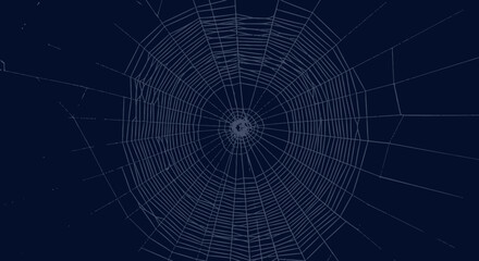 Obraz premium A Detailed Close Up View of a Perfectly Formed Spiderweb Illuminated by a Subtle Light Source Against a Dark Blue Background