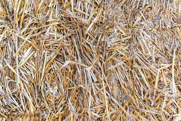 Close-up of textured straw in warm golden hues, copy space
