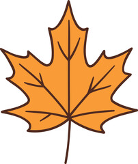 Illustration of a vibrant maple autumn leaf.