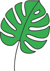Illustration of a green monstera leaf.