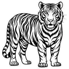 Majestic Tiger Outline Vector Illustration,Black and White Tiger Line Drawing,Wild Tiger Vector Silhouette Illustration,Detailed Tiger Line Art Design,Elegant Standing Tiger Vector Artwork