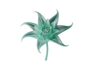 Translucent aqua fantasy flower with six pointed petals and glowing texture isolated on a transparent background