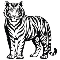 Majestic Tiger Outline Vector Illustration,Black and White Tiger Line Drawing,Wild Tiger Vector Silhouette Illustration,Detailed Tiger Line Art Design,Elegant Standing Tiger Vector Artwork