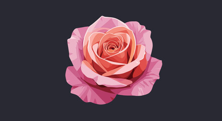 Obraz premium Vector Illustration of a Pink Rose Blossom with Detailed Petals.