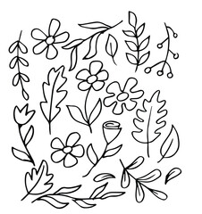 Flower abstract hand drawn brush ink stroke. Sketch hand drawn silhouette floral plant, nature graphic leaf, floral grunge abstract brush. Vector simple flower, leaf ink stroke. Vector illustration