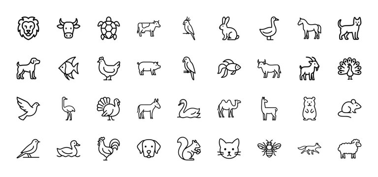 Animal line icon set. Vector pictograms of lion, cow, turtle, rabbit, duck, horse, cat, dog, fish, pig, goat, peacock, camel, bee, sheep, thin linear illustration.