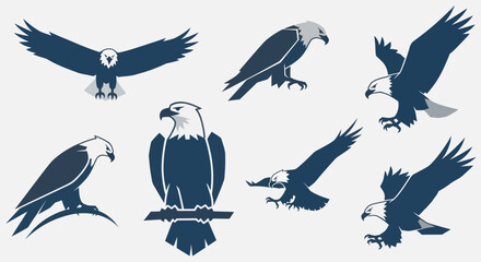 Stylized Bald Eagle Vector Art Set: Modern Graphic Illustrations of Majestic Birds for Logo and Mascot Designs, Flat Vector Elements, Vector Illustration, Simple Vector, Stylized Vector Drawing,