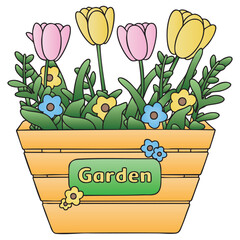 Colorful Spring Tulip and Small Flowers in Wooden Tapered Planter Box Vector